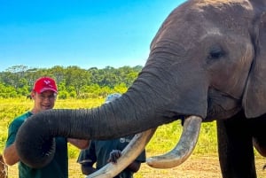 Victoria Falls: Elecrew Through The Eyes Of An Elephant