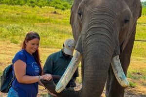 Victoria Falls: Elecrew Through The Eyes Of An Elephant