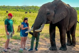 Victoria Falls: Elecrew Through The Eyes Of An Elephant