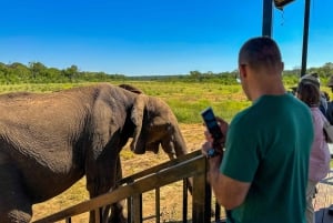 Victoria Falls: Elecrew Through The Eyes Of An Elephant