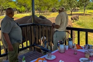 Victoria Falls: Elecrew Through The Eyes Of An Elephant