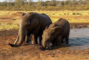 Victoria Falls: Elecrew Through The Eyes Of An Elephant