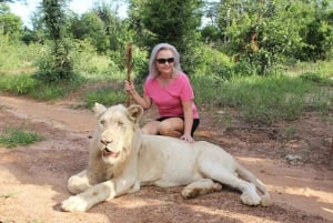 Victoriafallen: Möt elefanter, lejon och geparder