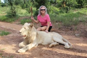 Victoriafallen: Möt elefanter, lejon och geparder