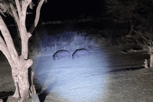 Wodospady Wiktorii: Doświadczenie z latarką i obserwacja gwiazd