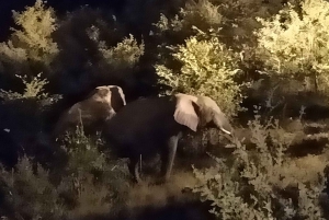 Wodospady Wiktorii: Doświadczenie z latarką i obserwacja gwiazd