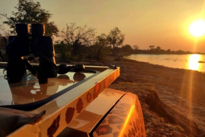 Victoria Falls: Flashlight Safari in 4x4