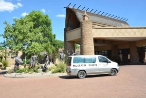 上空から見るビクトリアの滝: スリル満点のヘリコプターツアー