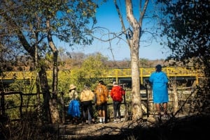 Victoria Falls Full Day Experience with Angels' Pool