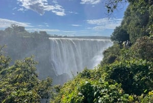 Victoria Falls Full Day Experience with Angels' Pool
