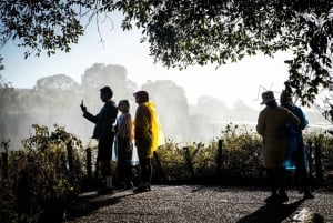 Victoria Falls Full Day Experience with Angels' Pool