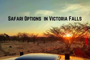 Victoria Falls: Game Drive Tour