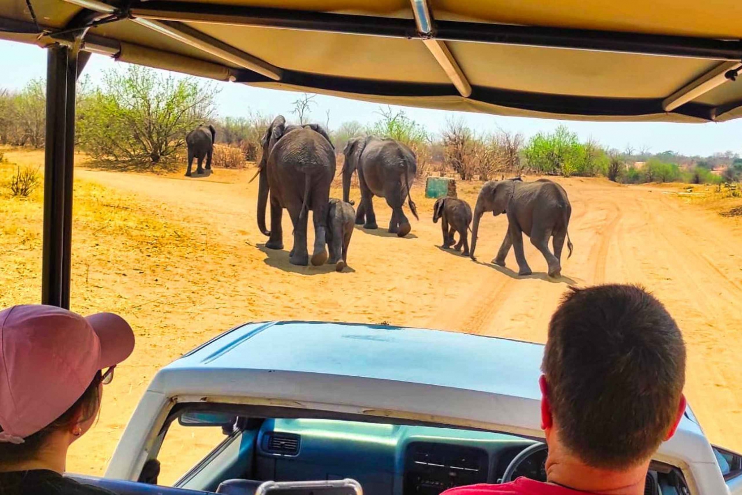 Victoria Falls: Game Drive with Pick Up