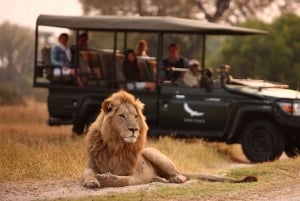 Victoria Falls: Game Drive