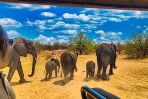 Cataratas Vitória: Passeio de carro