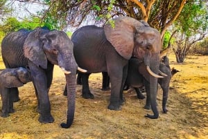 Cataratas Vitória: Passeio de carro