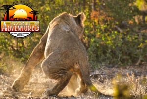 Cataratas Vitória: Passeio de carro