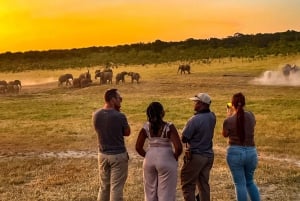 Victoria Falls: Game Walk in the Zambezi National Park