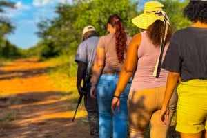 Victoria Falls: Game Walk in the Zambezi National Park