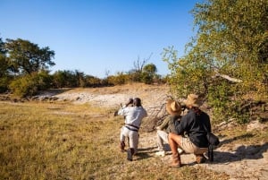 Victoria Falls: Game Walk in the Zambezi National Park