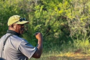 Victoria Falls: Game Walk in the Zambezi National Park