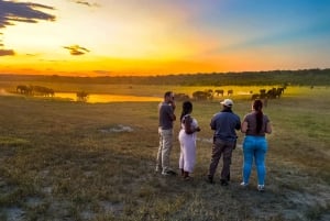 Victoria Falls: Game Walk in the Zambezi National Park