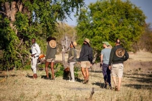 Victoria Falls: Game Walk in the Zambezi National Park