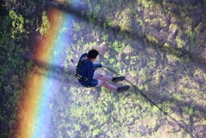 Victoria Falls: Gorge Swing Experience