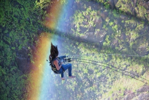 Victoria Falls: Gorge Swing Experience
