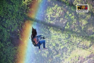 Victoria Falls: Gorge Swing Experience