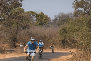 Victoria Falls: Guided Bicycle Tour with Local Guide
