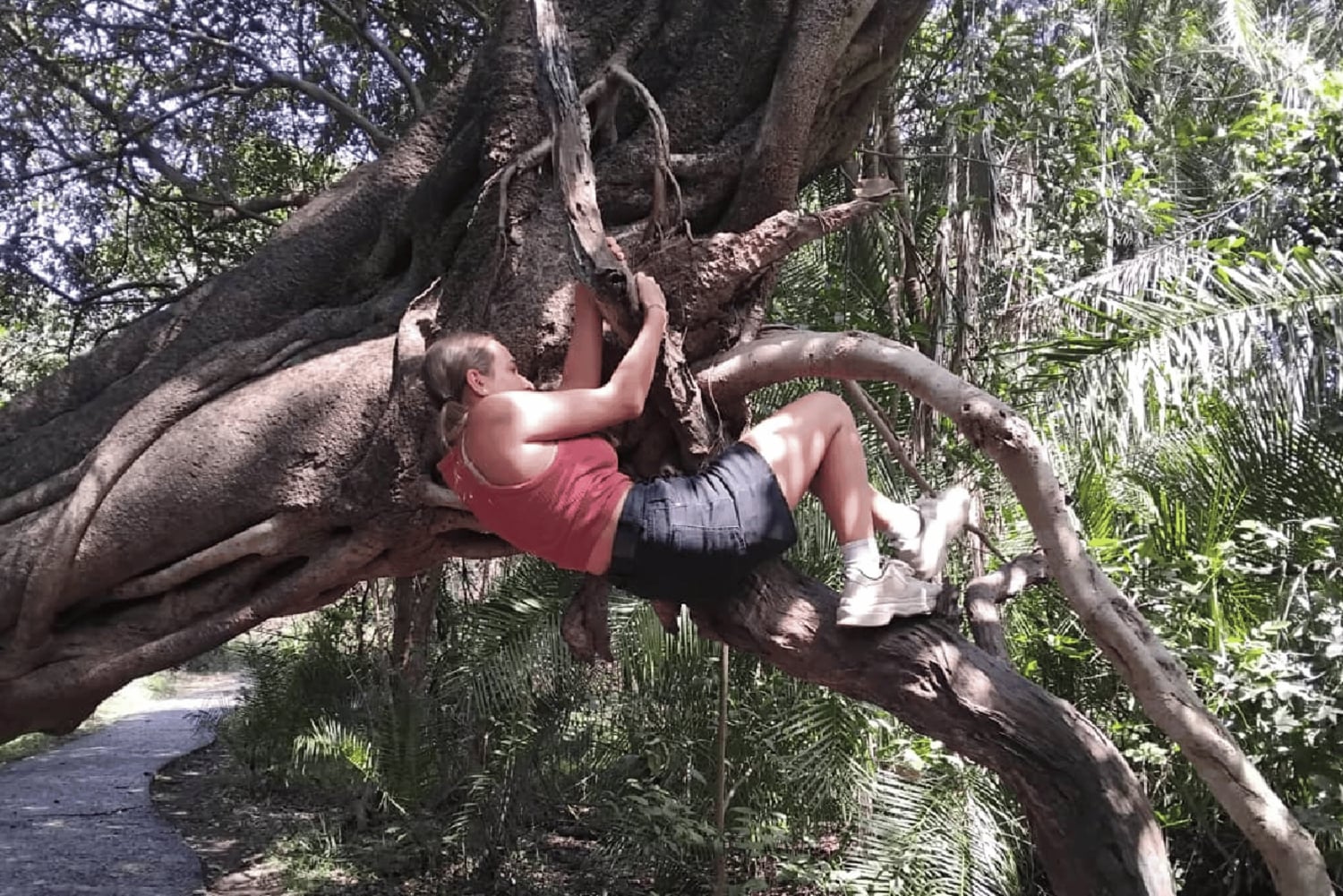 ヴィクトリアフォールズ：ガイド付きツアー、橋、ビッグツリー訪問