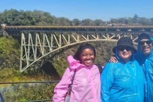 Chutes Victoria : visite guidée, pont et grand arbre
