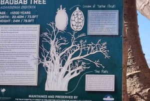 Chutes Victoria : visite guidée, pont et grand arbre