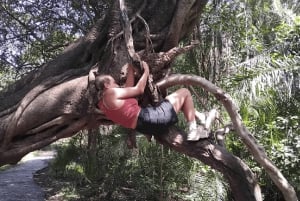 Chutes Victoria : visite guidée, pont et grand arbre