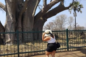 Chutes Victoria : visite guidée, pont et grand arbre