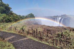 Victoria Falls: Guided tour by local guides