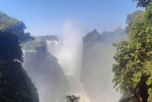 Victoria Falls: Guided tour by local guides