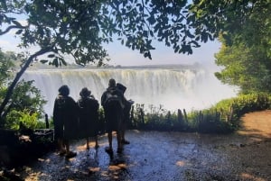 Victoria Falls: Guided tour by local guides
