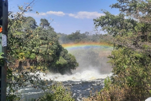 Victoria Falls: Guided tour by local guides