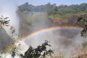 ビクトリア滝：地元ガイドによるガイド付きツアー