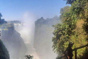 ビクトリア滝：地元ガイドによるガイド付きツアー