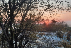 ビクトリア滝：地元ガイドによるガイド付きツアー