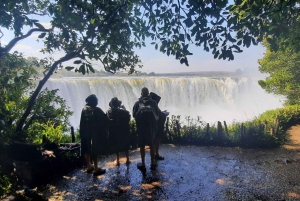 ビクトリア滝：地元ガイドによるガイド付きツアー