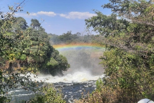 ビクトリア滝：地元ガイドによるガイド付きツアー