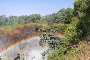 ビクトリア滝：地元ガイドによるガイド付きツアー