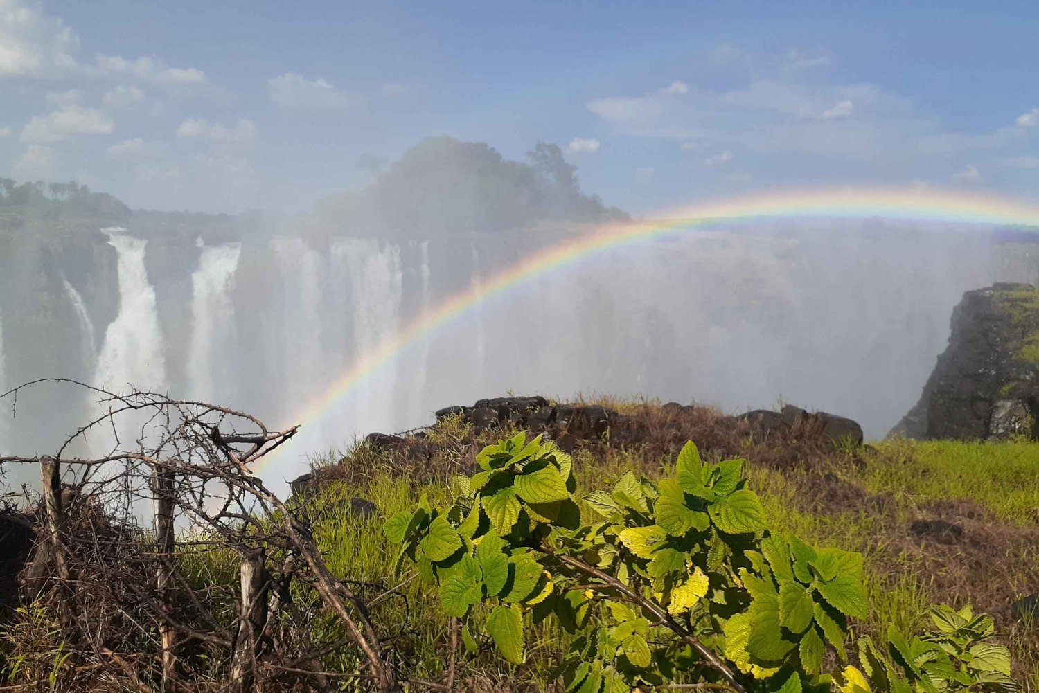 Victoria Falls Guided Tour +Dinner Cruise
