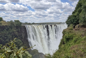 Victoria Falls: Guided Tour of Falls