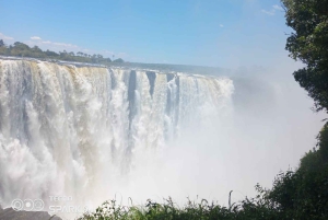 Victoria Falls: Guided Tour of Falls