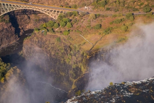 Victoria Falls: Guided Tour of Falls